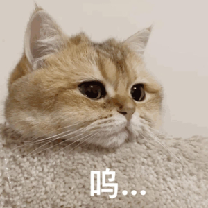 玖辛奈被❌c🐻黄扒衣服
